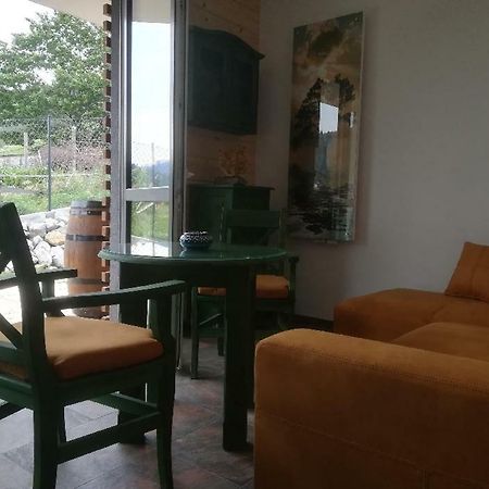 Apartament Zielony シュチルク エクステリア 写真